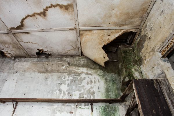 Water Damage Service in Leesburg