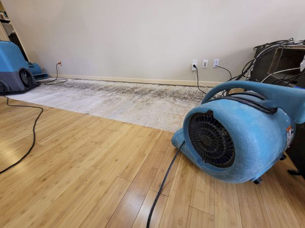 Water Damage Mitigation in Leesburg