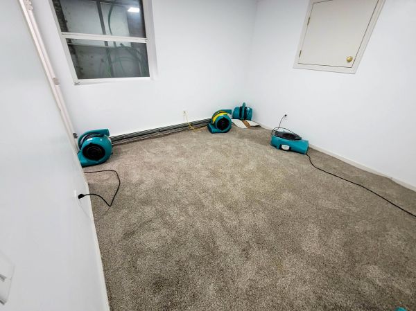 Flood Restoration Service in Leesburg