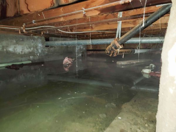 Water Mitigation Service in Leesburg