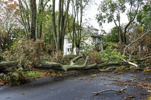 Tornado Damage Repair in Leesburg
