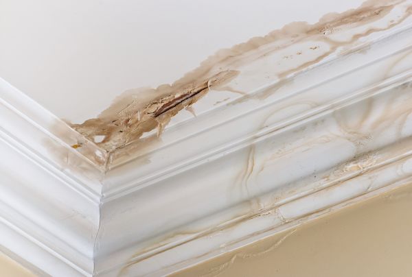 Water Damage Recovery in Leesburg